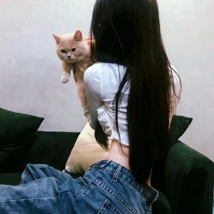 新进职员
